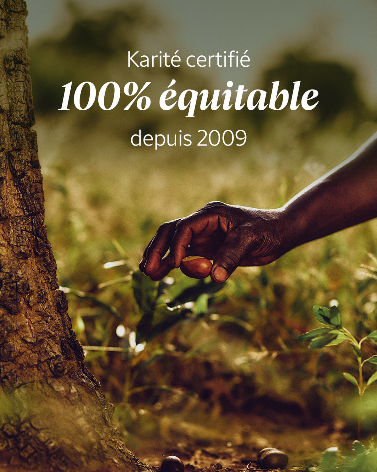 Eau Micellaire Visage Karité