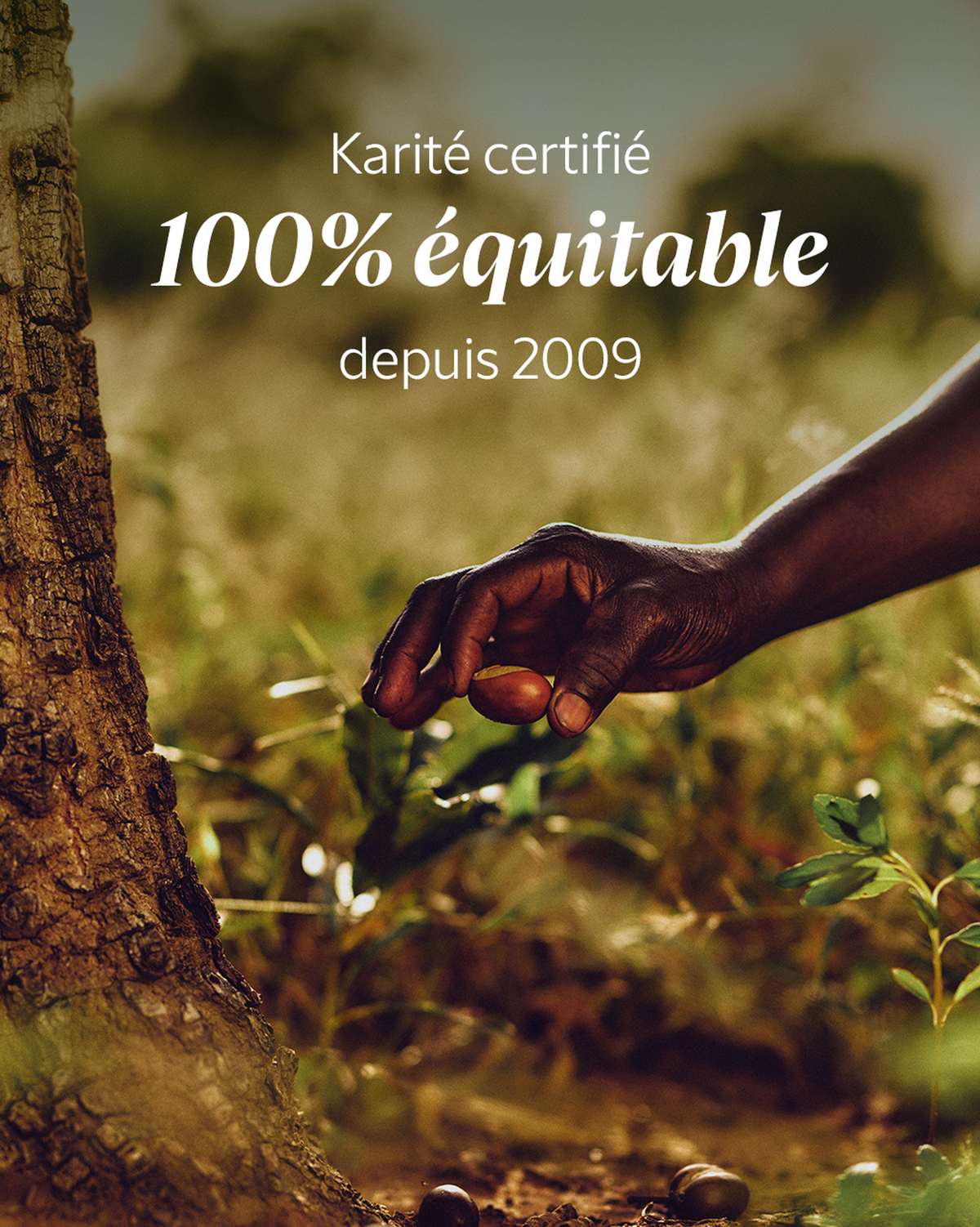 Lait Démaquillant Karité