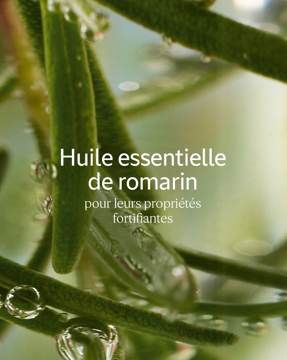 Après-Shampooing Force & Volume