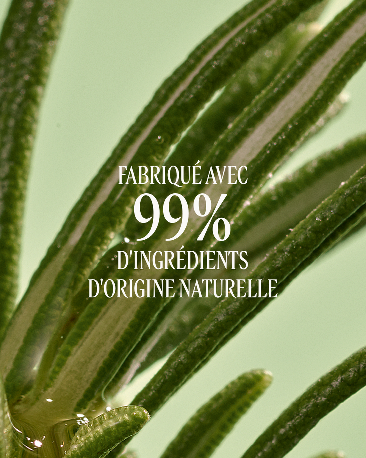 Sérum Anti-Chute Cheveux