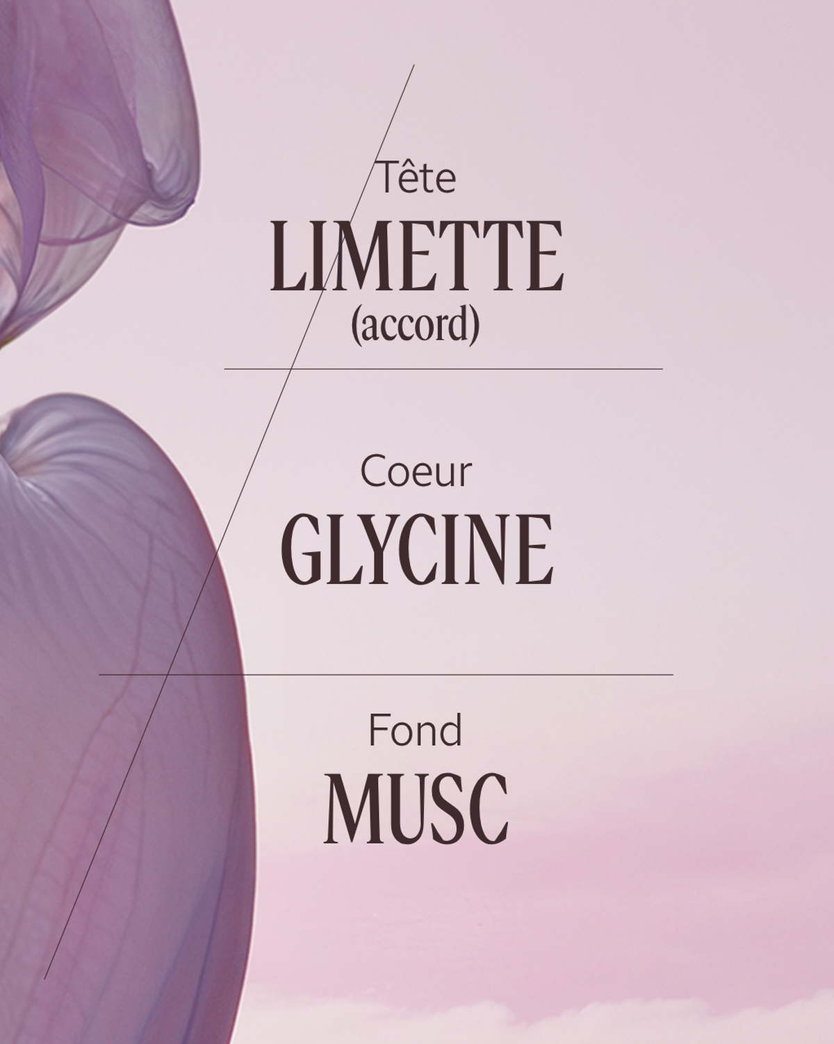 Eau de parfum Glycine
