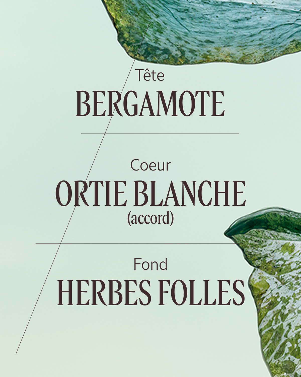 Eau de Parfum Ortie Blanche (Herbae)