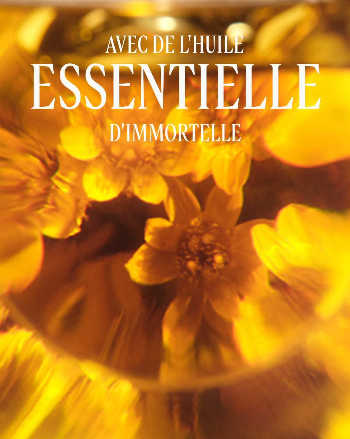 Huile-sérum Lumière Immortelle Vitalité