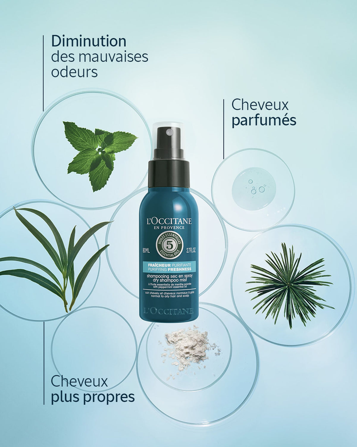 Shampooing Sec en Spray Fraîcheur Purifiante