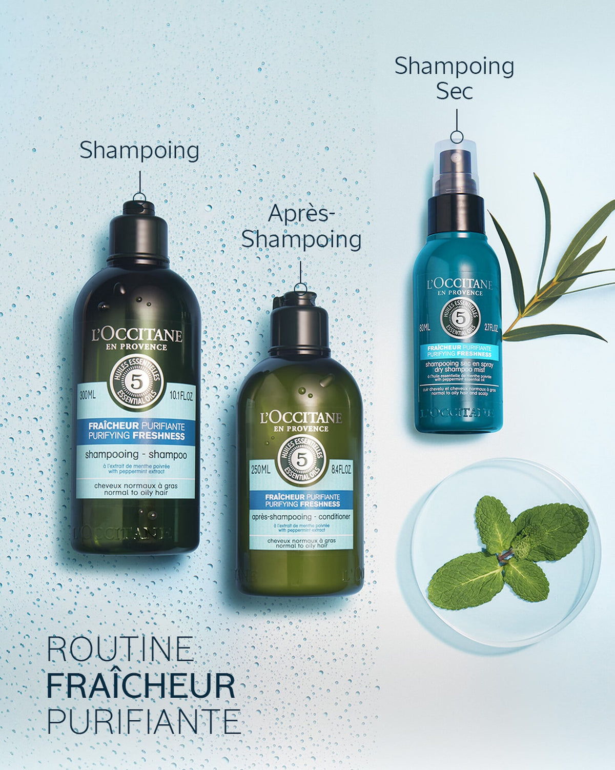 Shampooing Sec en Spray Fraîcheur Purifiante