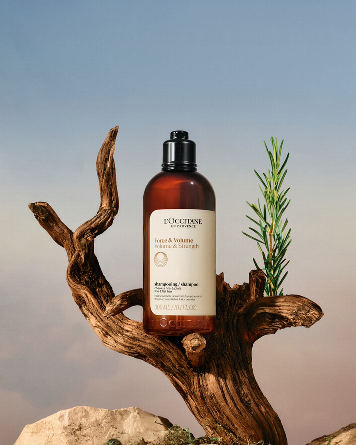 Shampooing Force & Volume