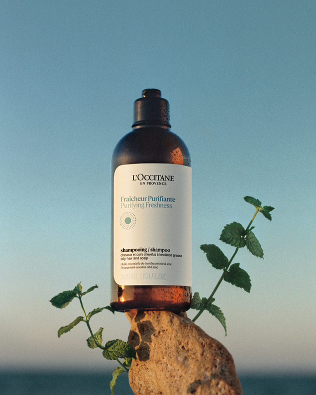 Shampooing Fraîcheur Purifiante