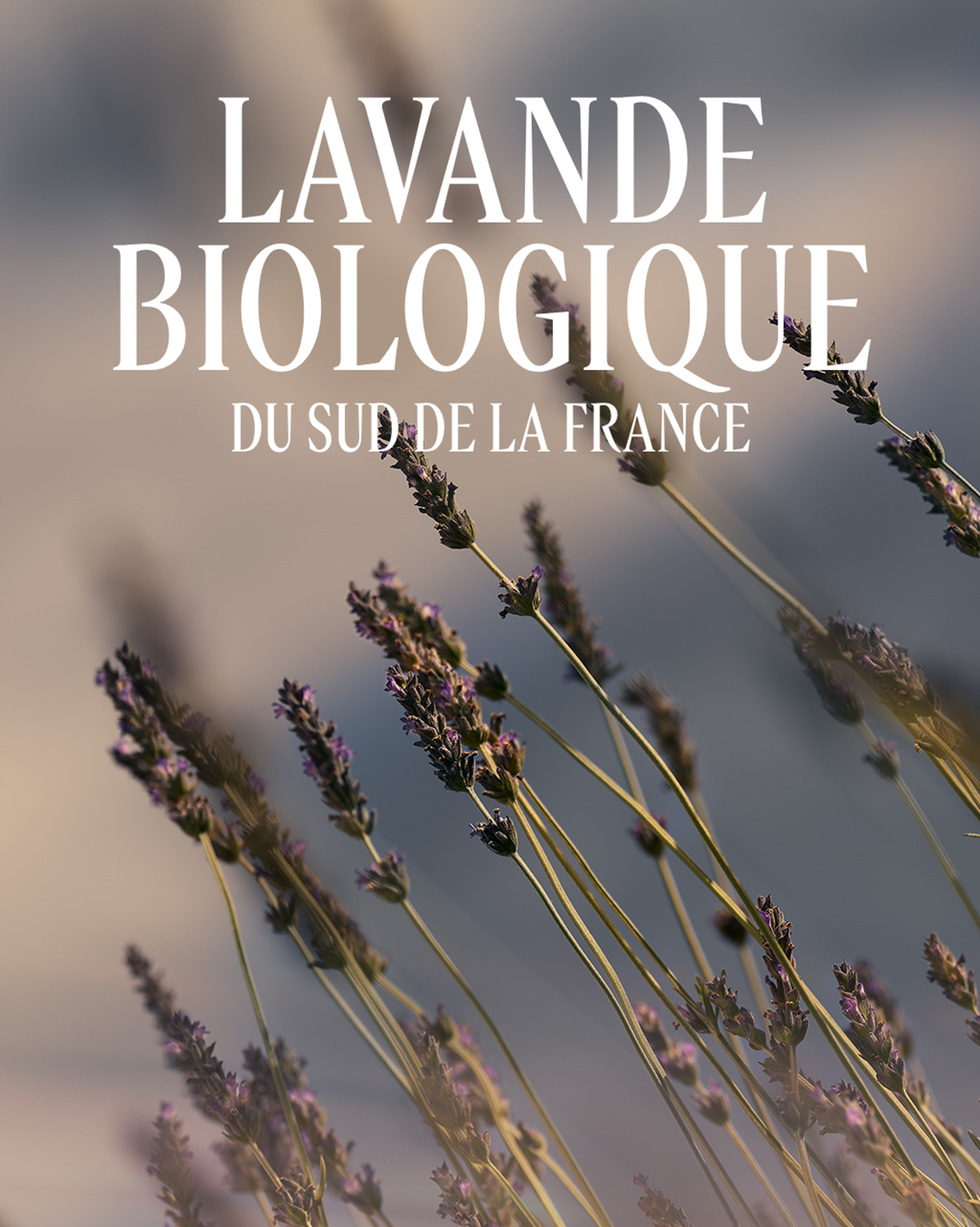 Recharge Bain Moussant Lavande