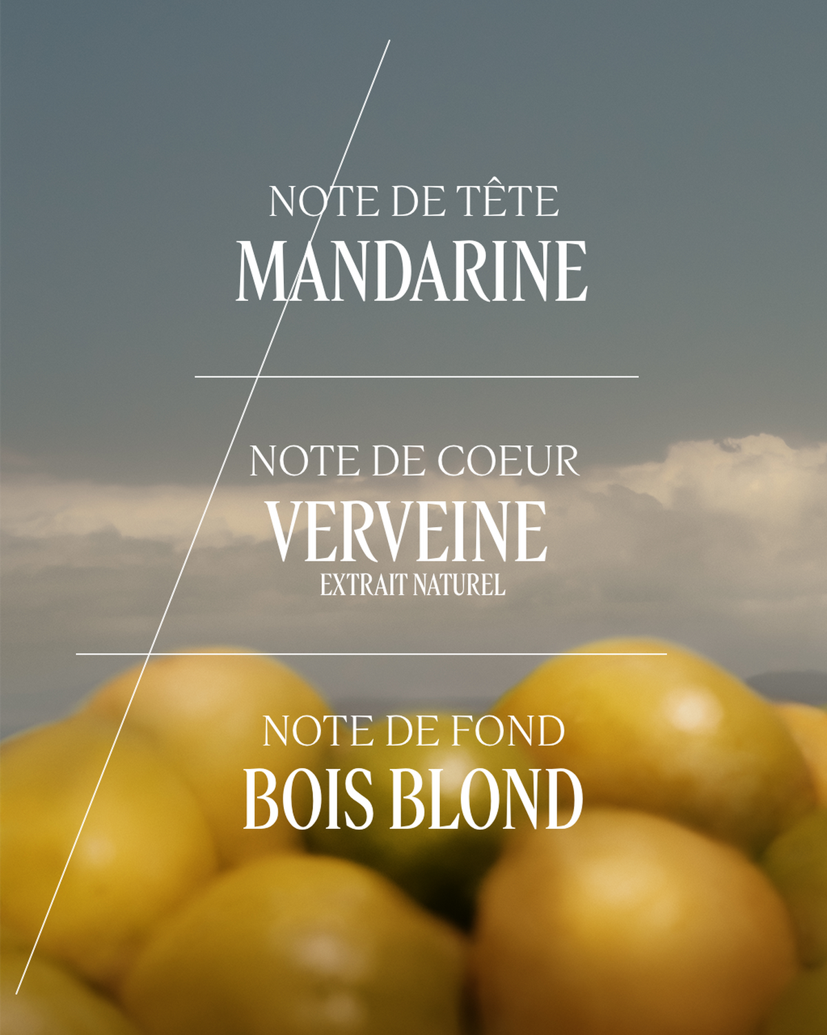 Eau de Toilette Verveine Agrumes