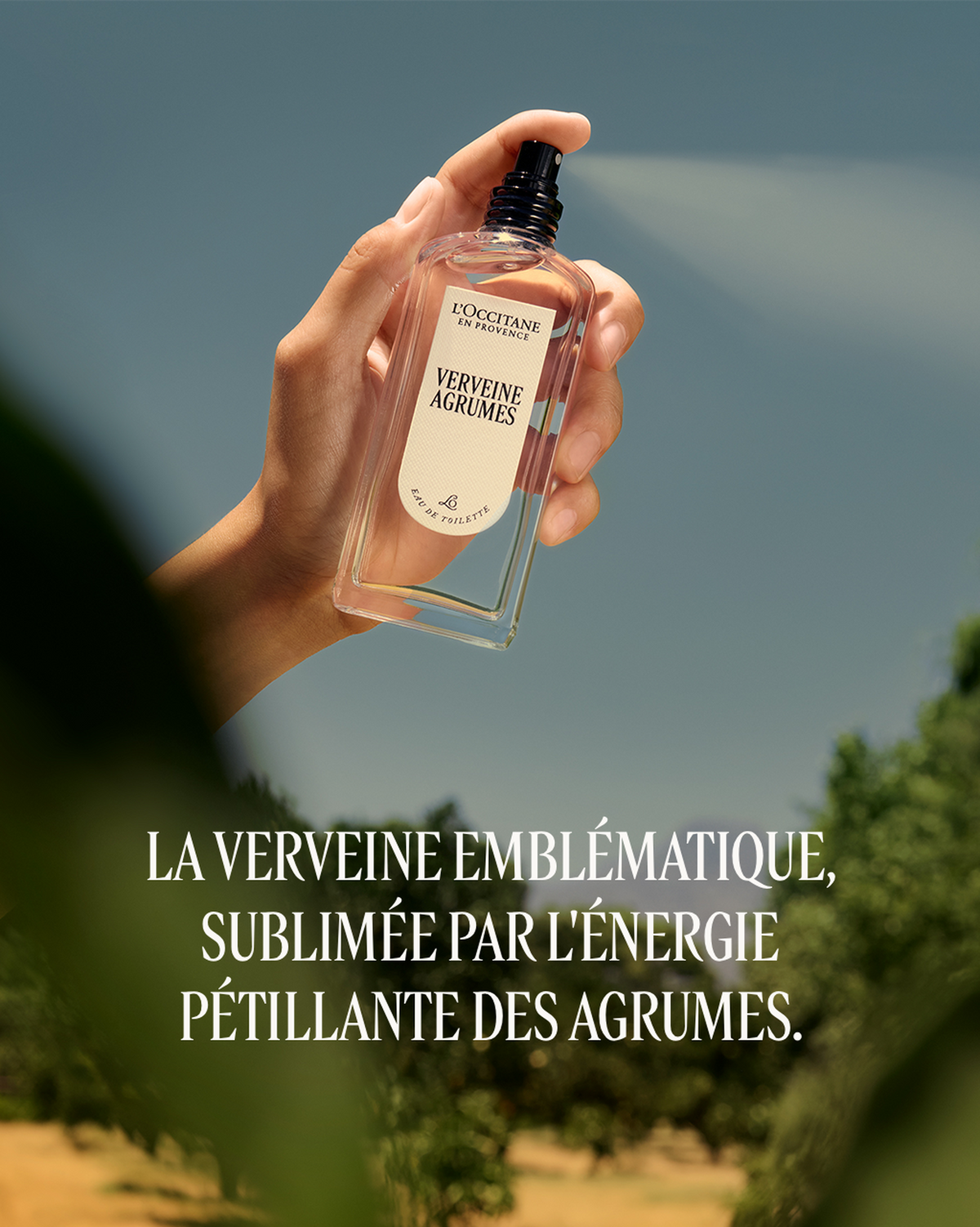 Eau de Toilette Verveine Agrumes
