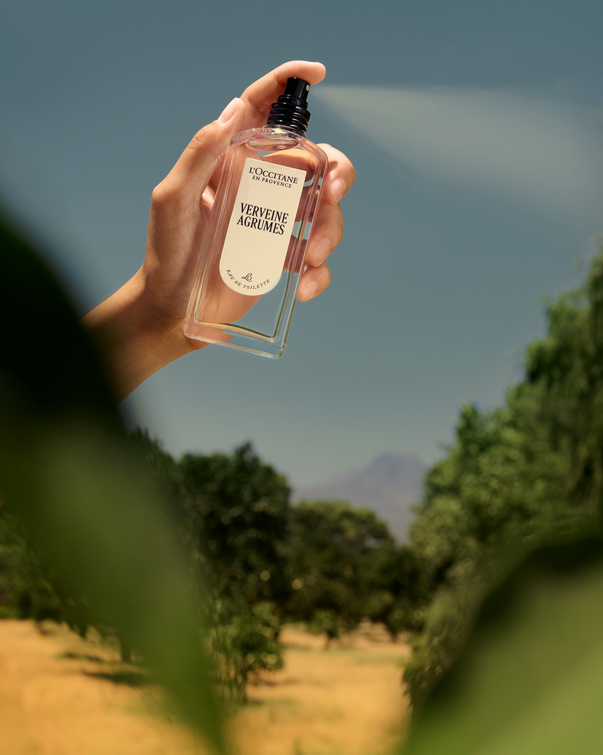 Eau de Toilette Verveine Agrumes