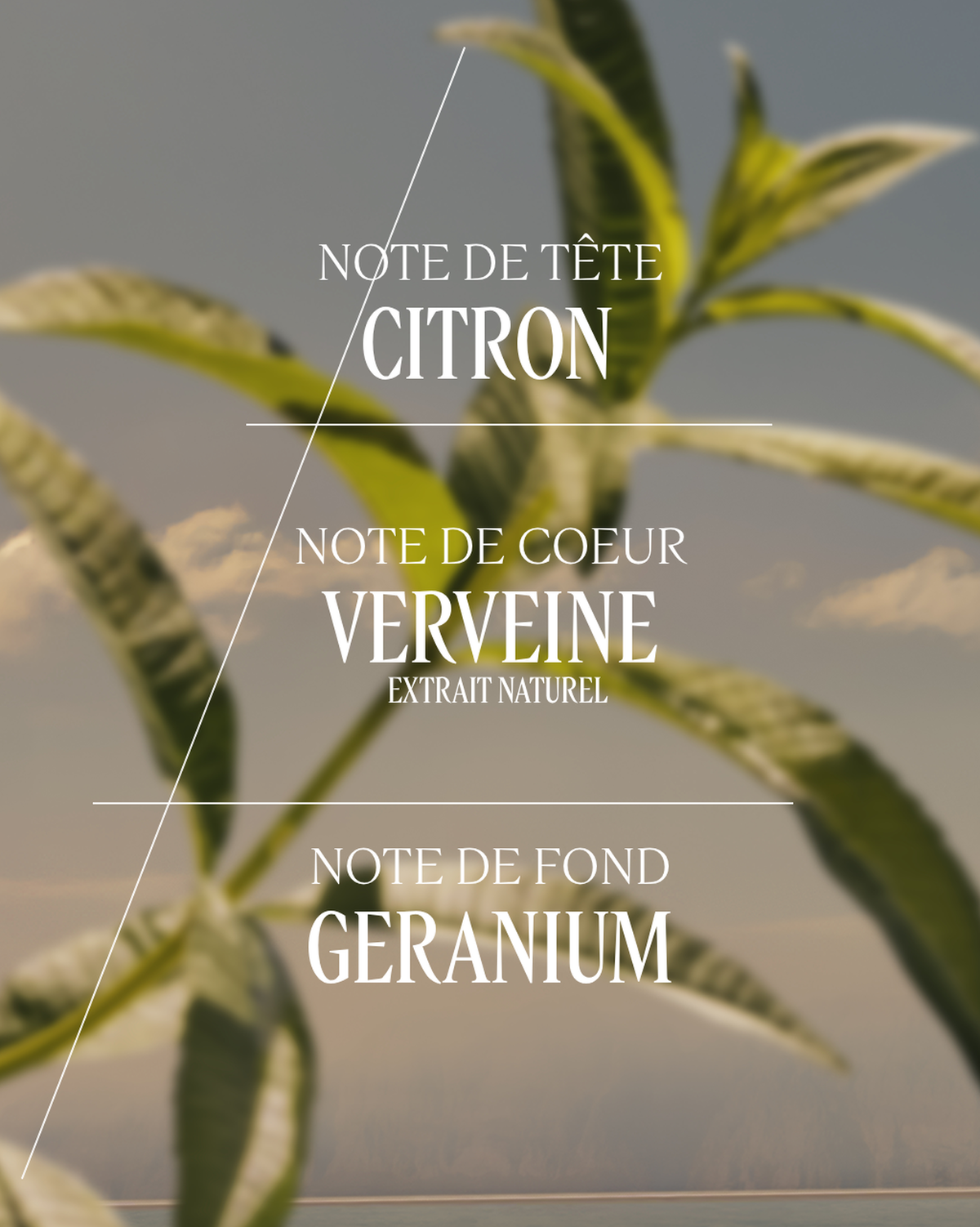 Eau de Toilette Verveine
