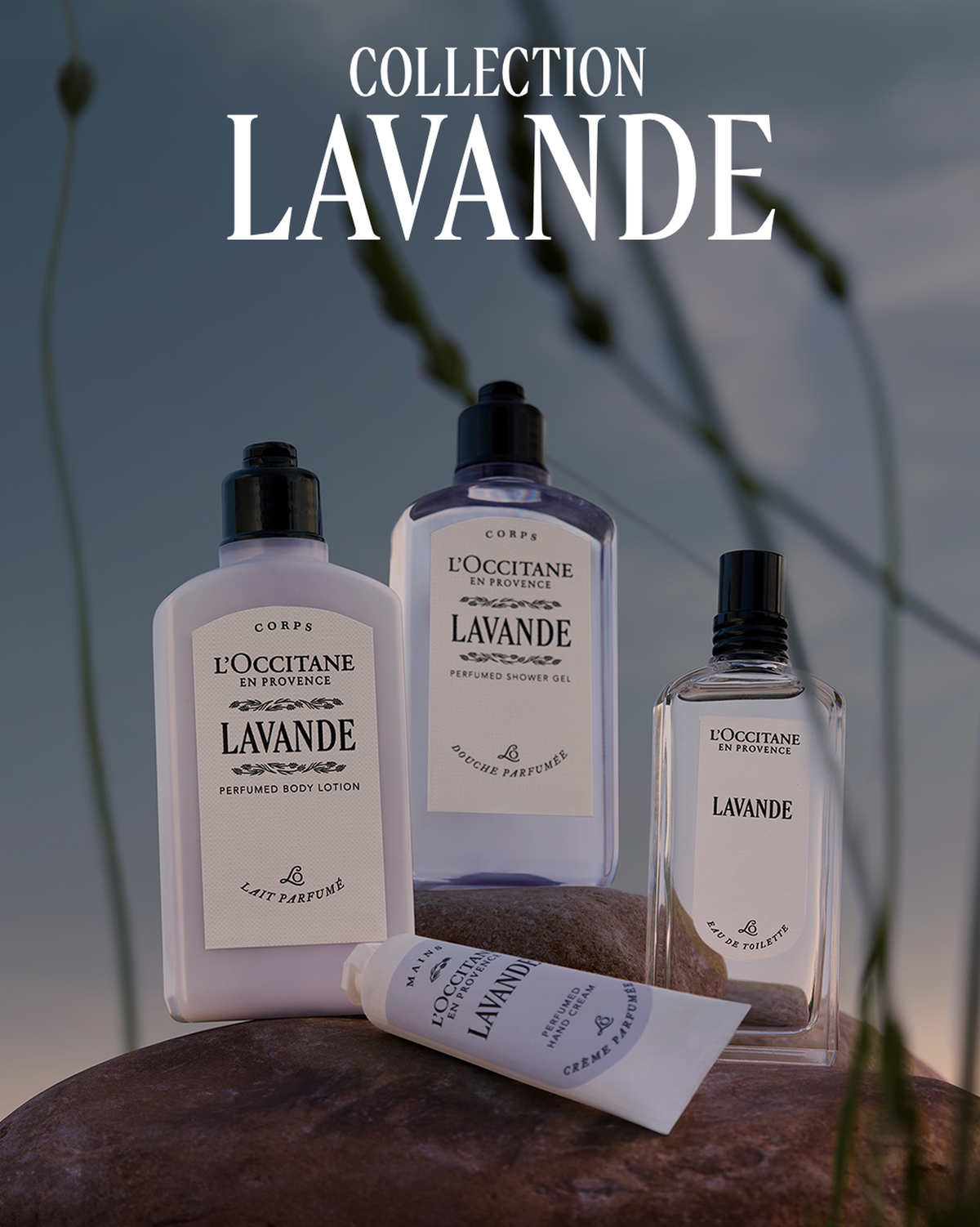 Gel Douche parfumé Lavande