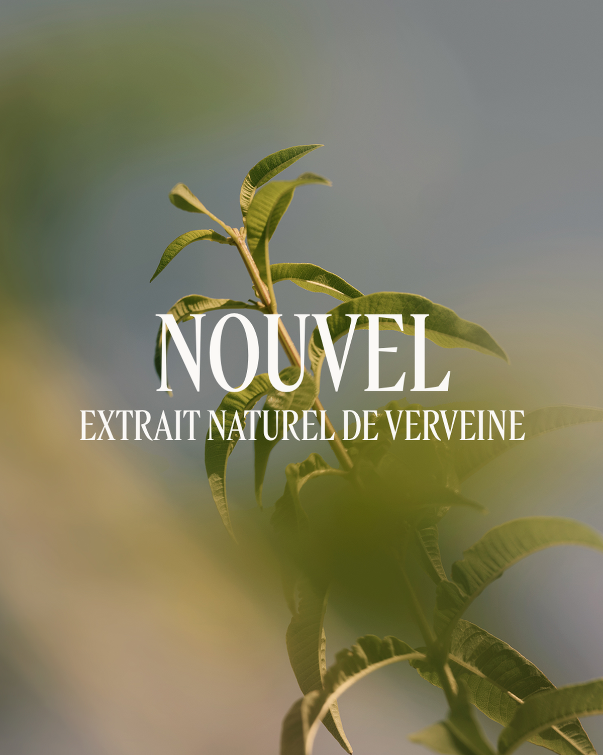Crème Mains Verveine
