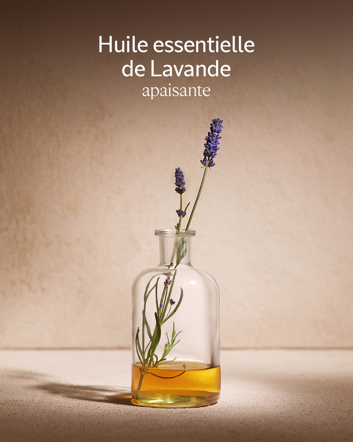 Recharge Shampooing Equilibre & Douceur
