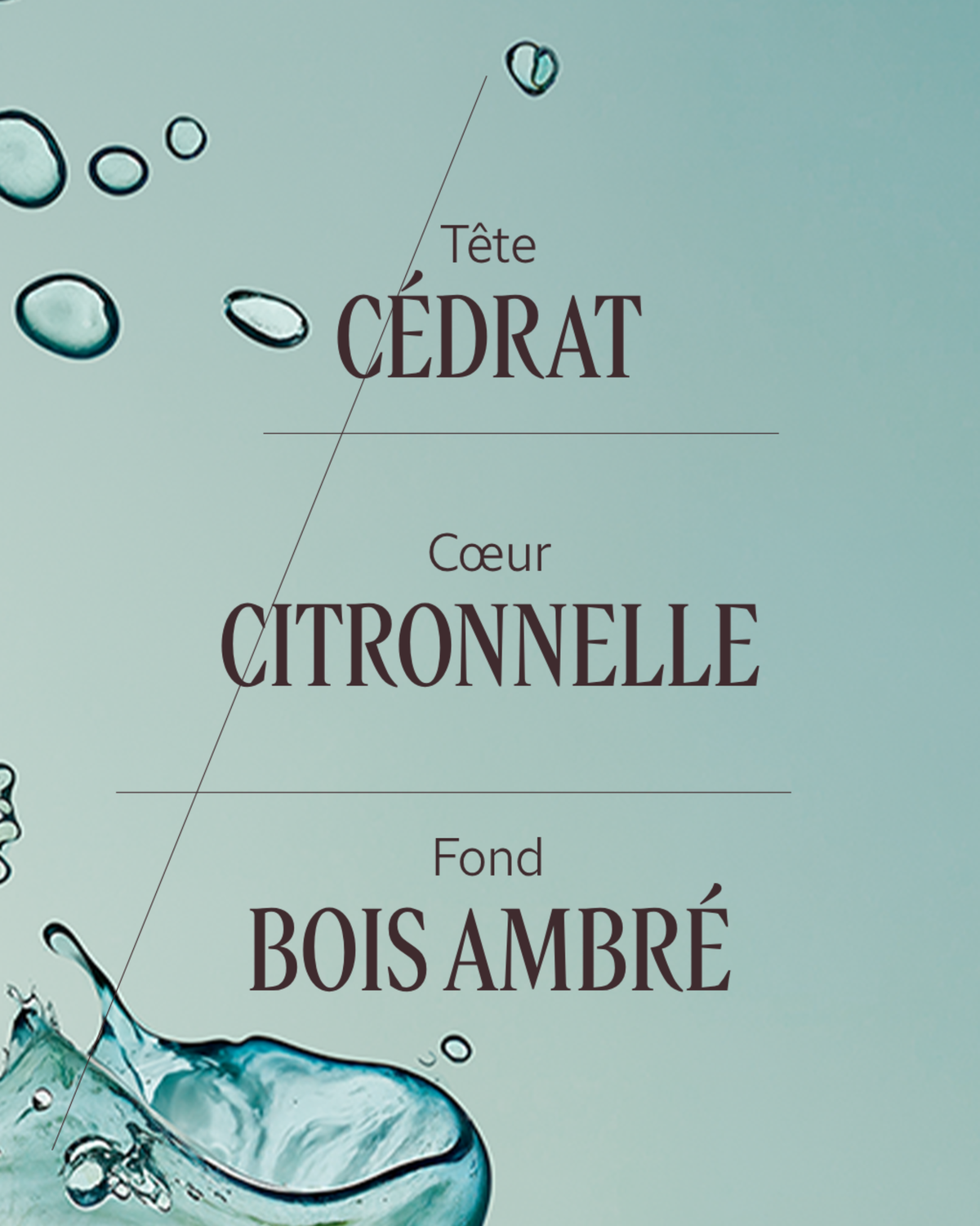 Eau de toilette Cédrat