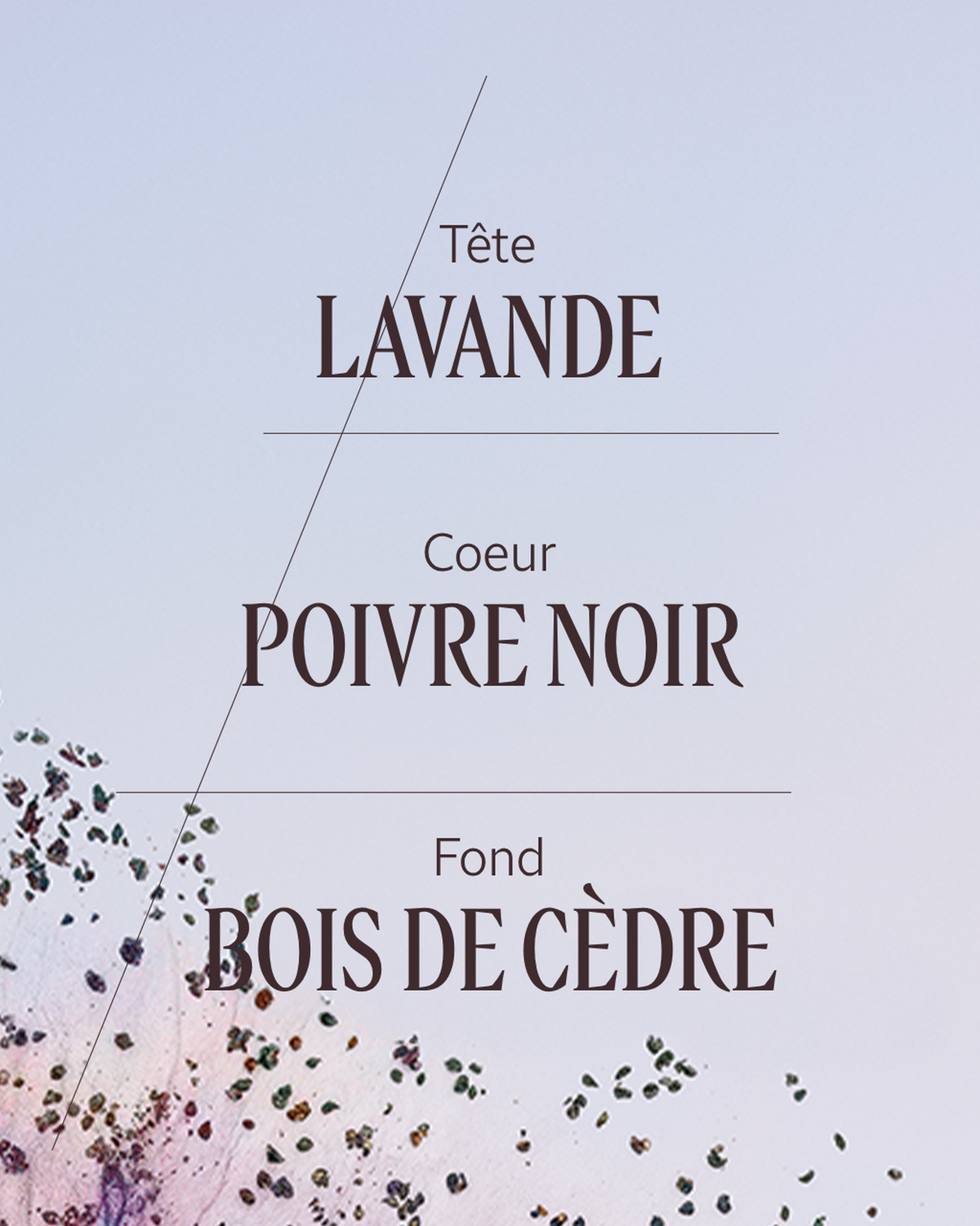 Eau de toilette Lavande Poivre Noir (L'Occitan)