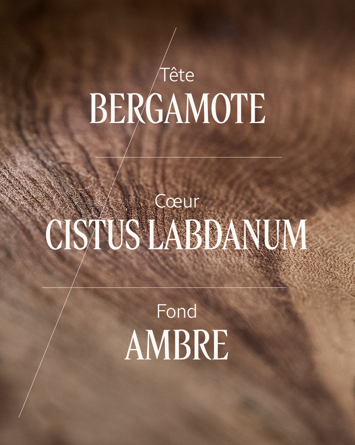 Eau de Parfum Ambre