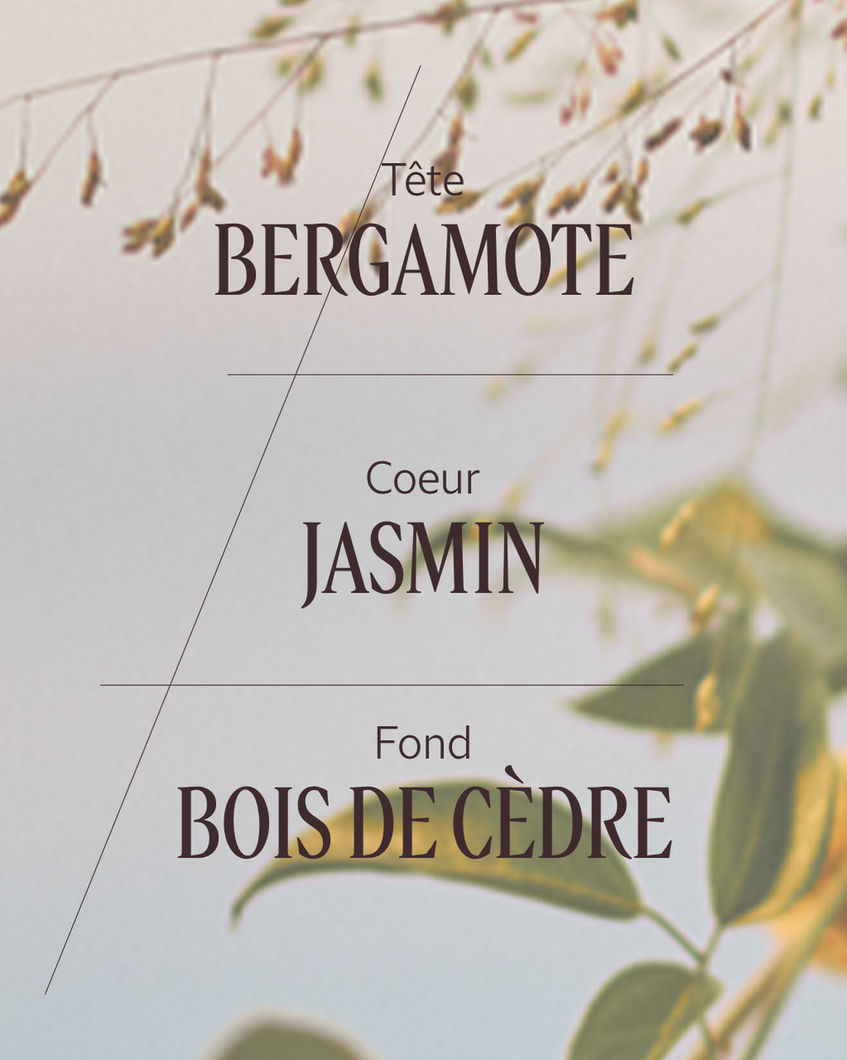 Eau de toilette Jasmin & Bergamote