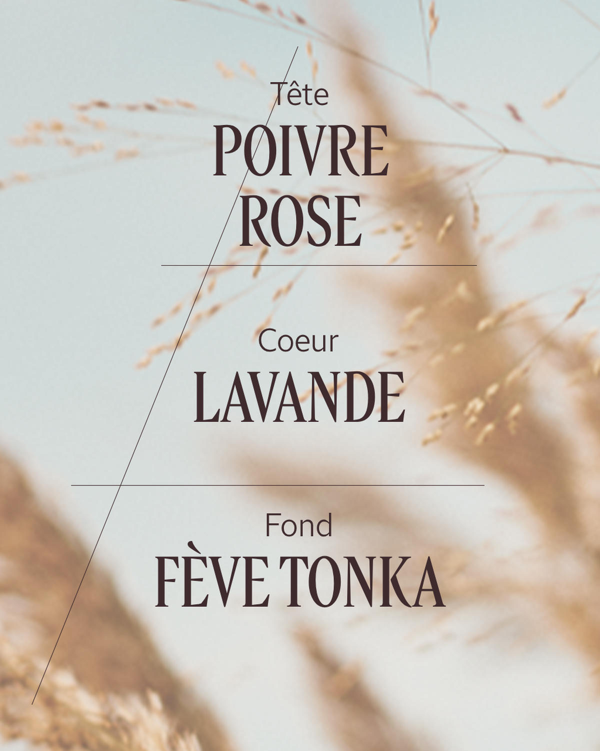 Eau de Toilette Terre de Lumière
