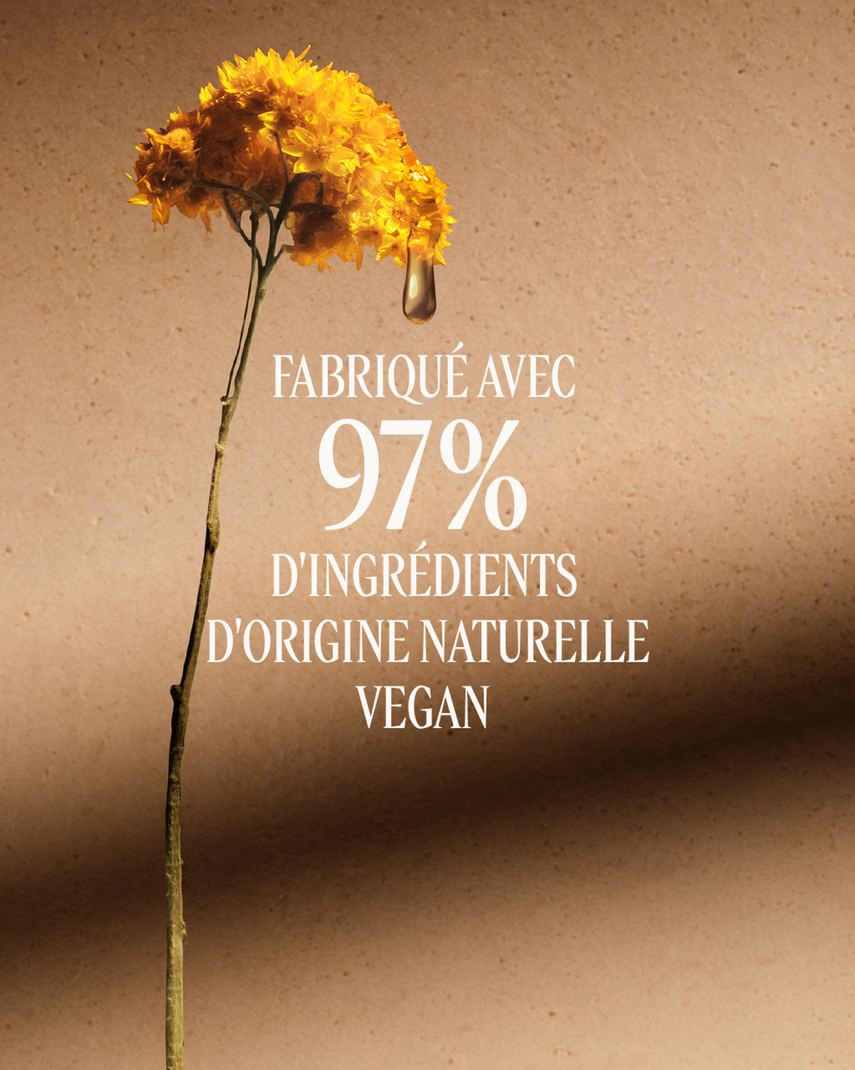 Huile Corps Raffermissante Immortelle Divine