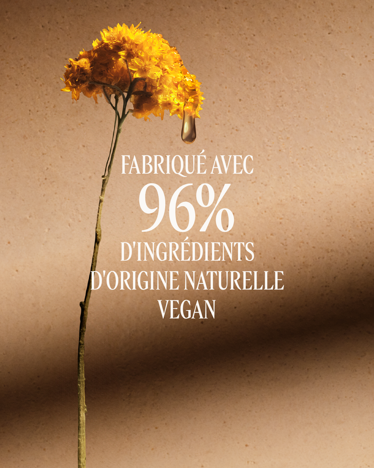 Crème Cou Lissante Immortelle Divine