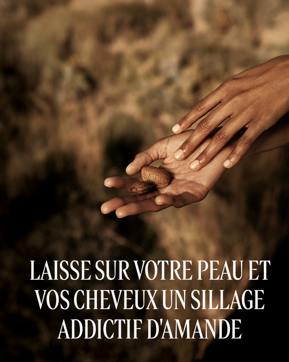 Brume Délice Amande