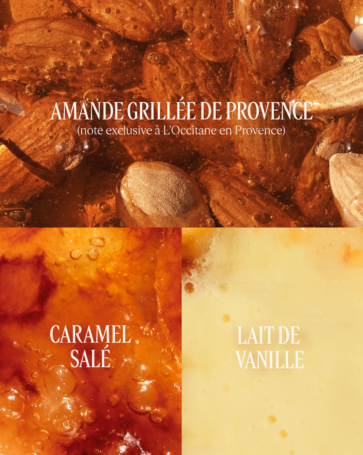 Routine Scintillante Amande Crème Brulée